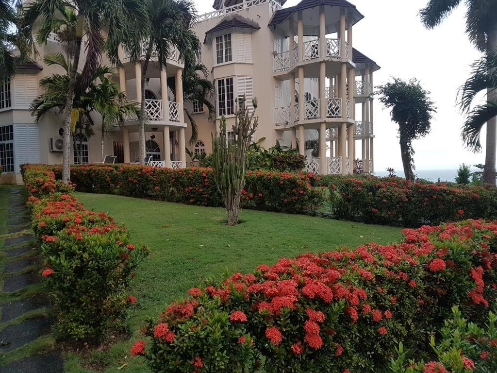 Chill On The Hill Apartamento Ocho Rios Exterior foto